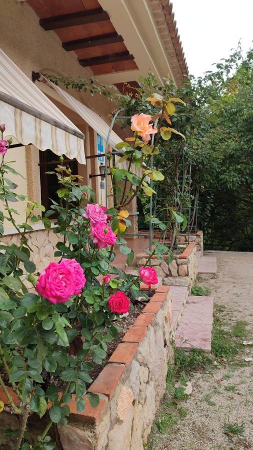 Hostal Restaurante Andra Rio Madera ภายนอก รูปภาพ